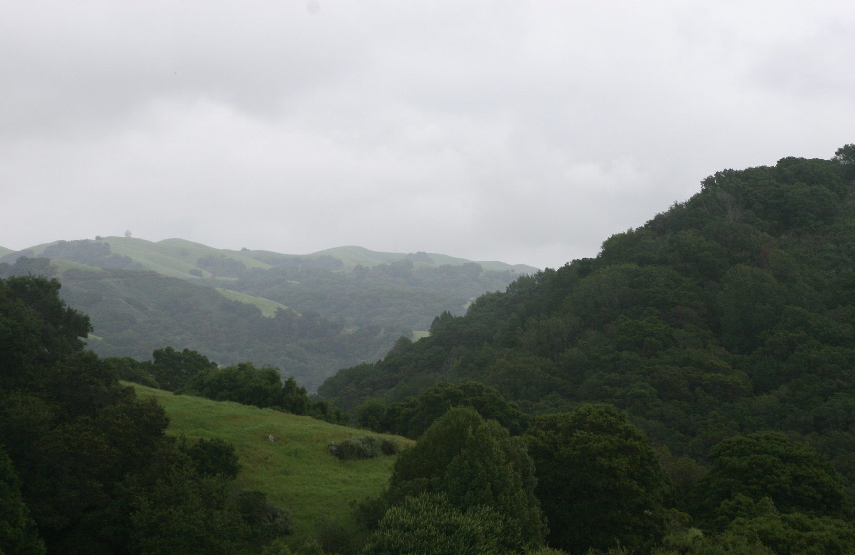 hills where the shelter is located